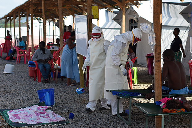 Genomic sequencing offers new clues to Zika's spread from Brazil
