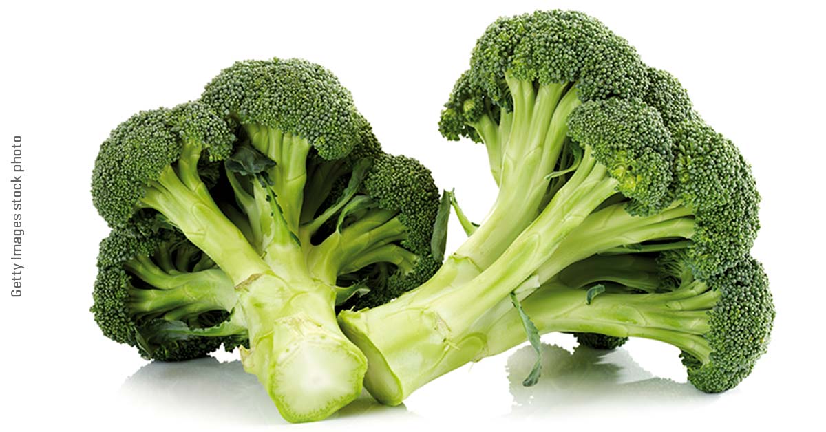 Cancerbusting broccoli sprout pills? It’s a thing. Fred Hutchinson