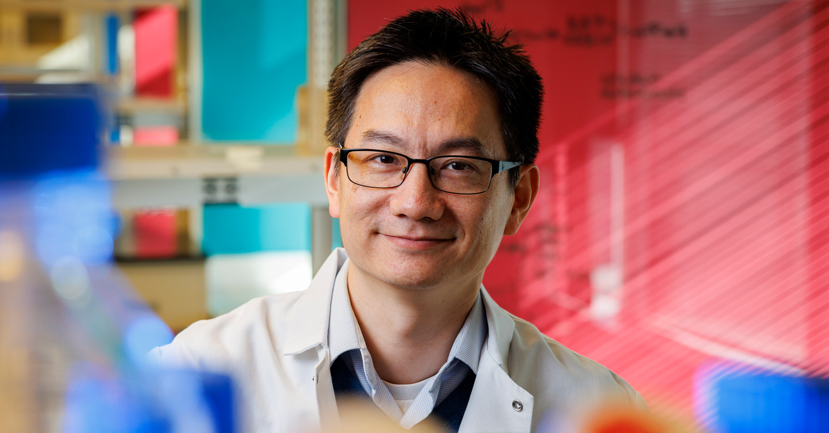 Revealing how cancer cells cooperate — and how to stop them - Fred Hutch