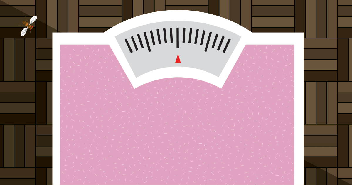 Fruit fly study IDs missing links in fatsignaling system Fred