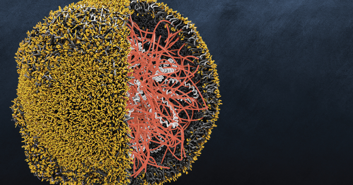 Tiny tech reprograms immune cells to fight cancer - Fred Hutch