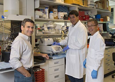 New hope for patients with hard-to-treat head and neck cancers - Fred Hutch