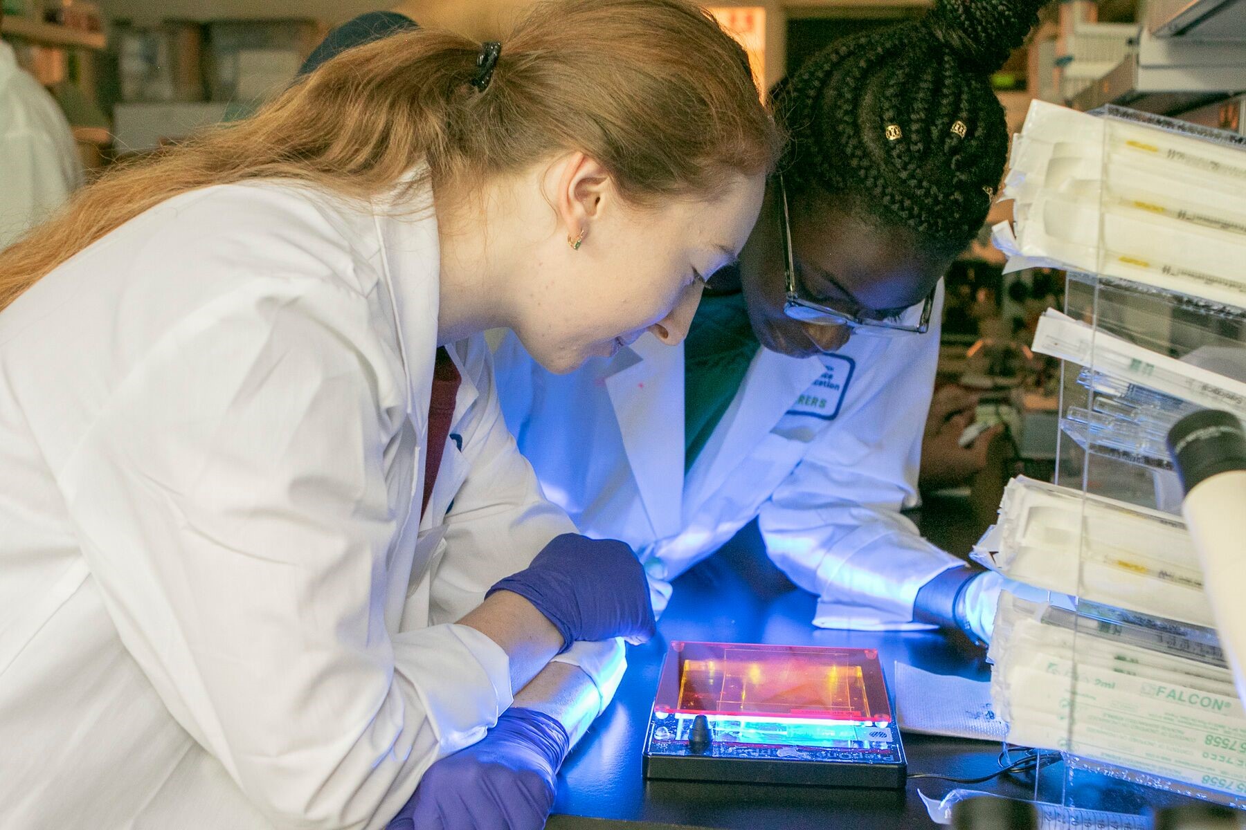 Fred Hutch wins 1.26 million grant to boost science and education