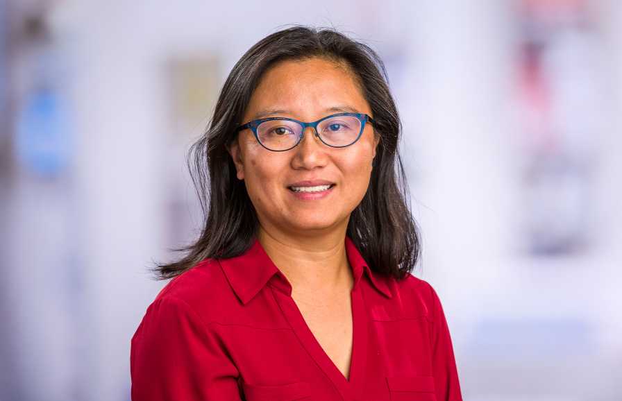 Li Hsu, PhD