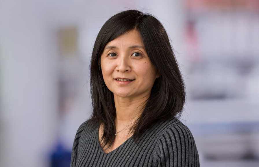 Ying Huang, PhD
