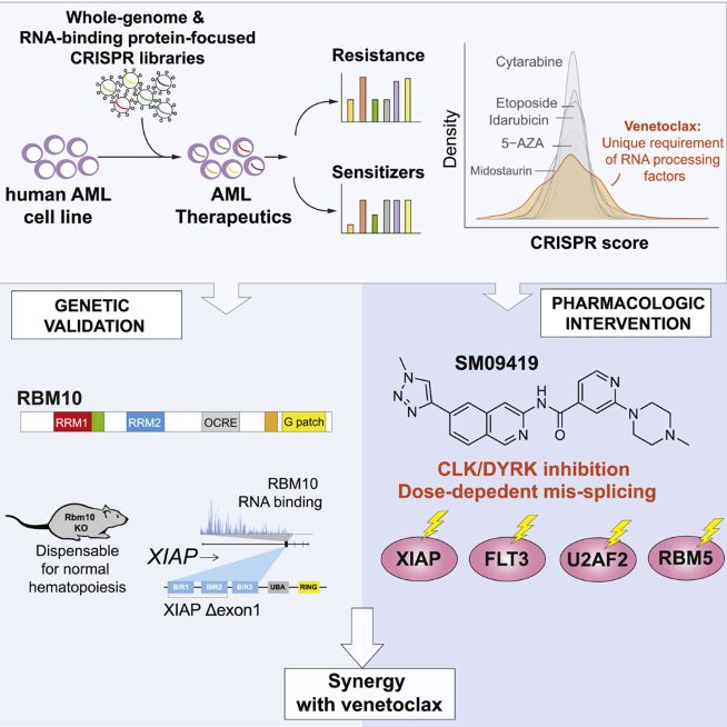 Hit the “reset” button on acquired drug resistance of cancer cells ...