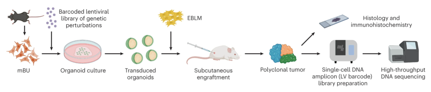 Start a Reservation visual data 5