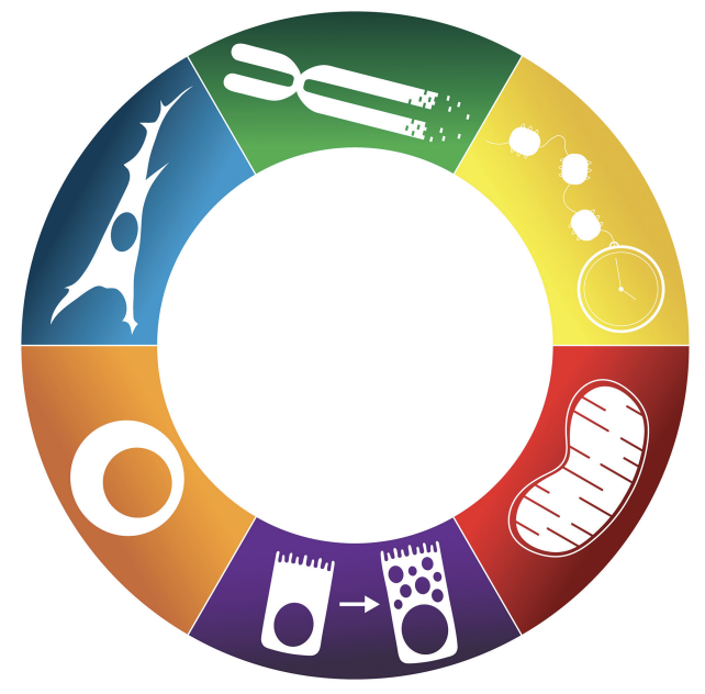 Science Spotlight | Fred Hutchinson Cancer Center