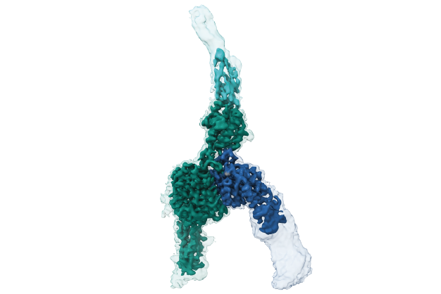 Ismail Hossainページ Ismail Hossain | Bangladesh | The Fashion Hero