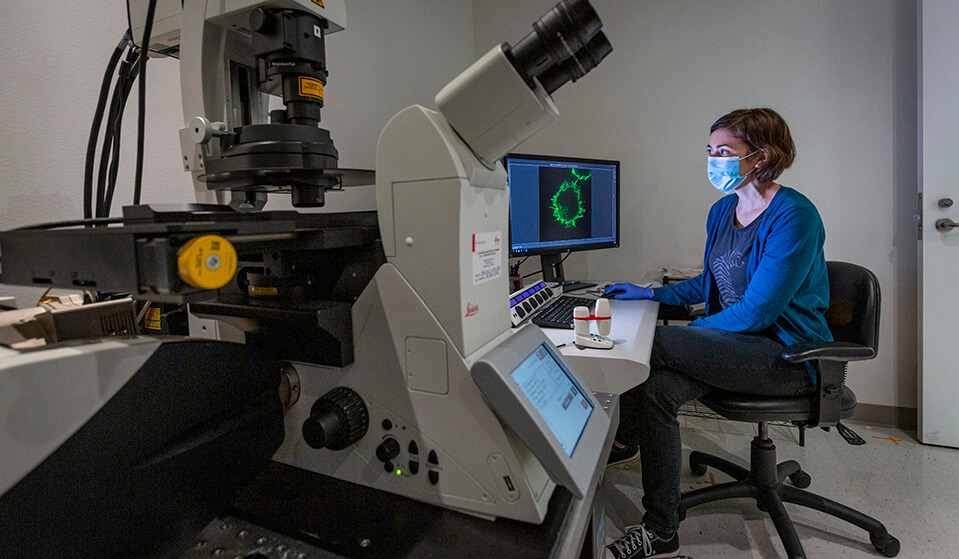 Cellular Imaging Fred Hutchinson Cancer Center