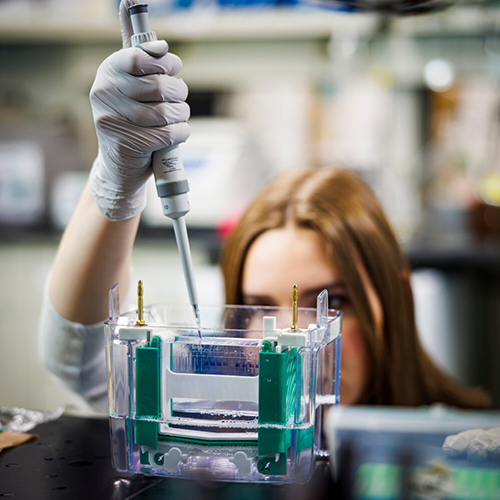 Scientific Recruiting Fred Hutchinson Cancer Center