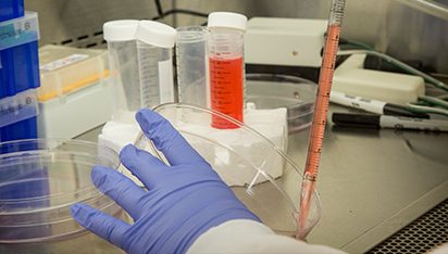 Training Program - Fred Hutch