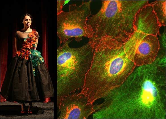 Cancer couture - Fred Hutch