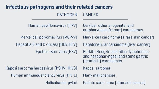 Integrated approach to overcome pathogen-associated malignancies - Fred ...