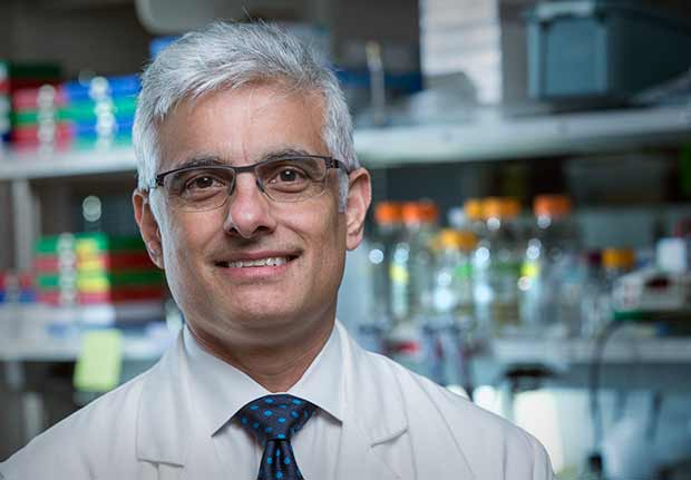Good News: $1.8M Cancer Moonshot grant advances precision medicine for ...