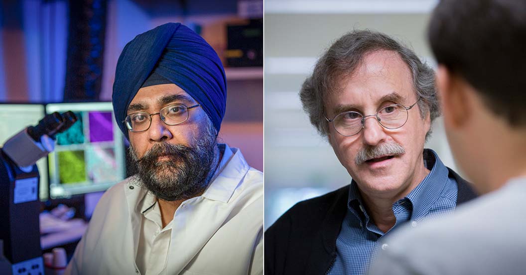 Drs. Harmit Malik and Steve Henikoff elected to American Academy of ...