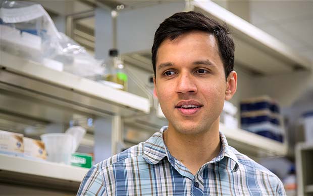 Teaming up to understand mysterious microproteins | Fred Hutchinson ...