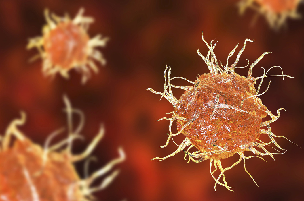 Illustration of dendritic cells, which look "hairy" thanks to their long spikes or dendrites.