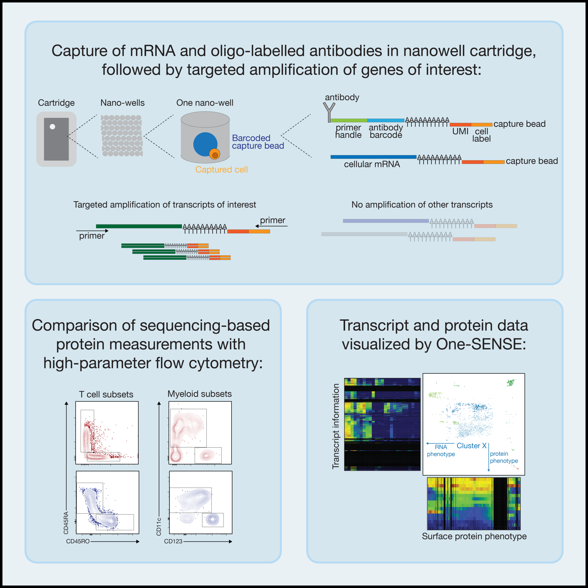 Rna Graphical Abstract Targeted single-cell RNA sequencing maximizes cellular information at a ...