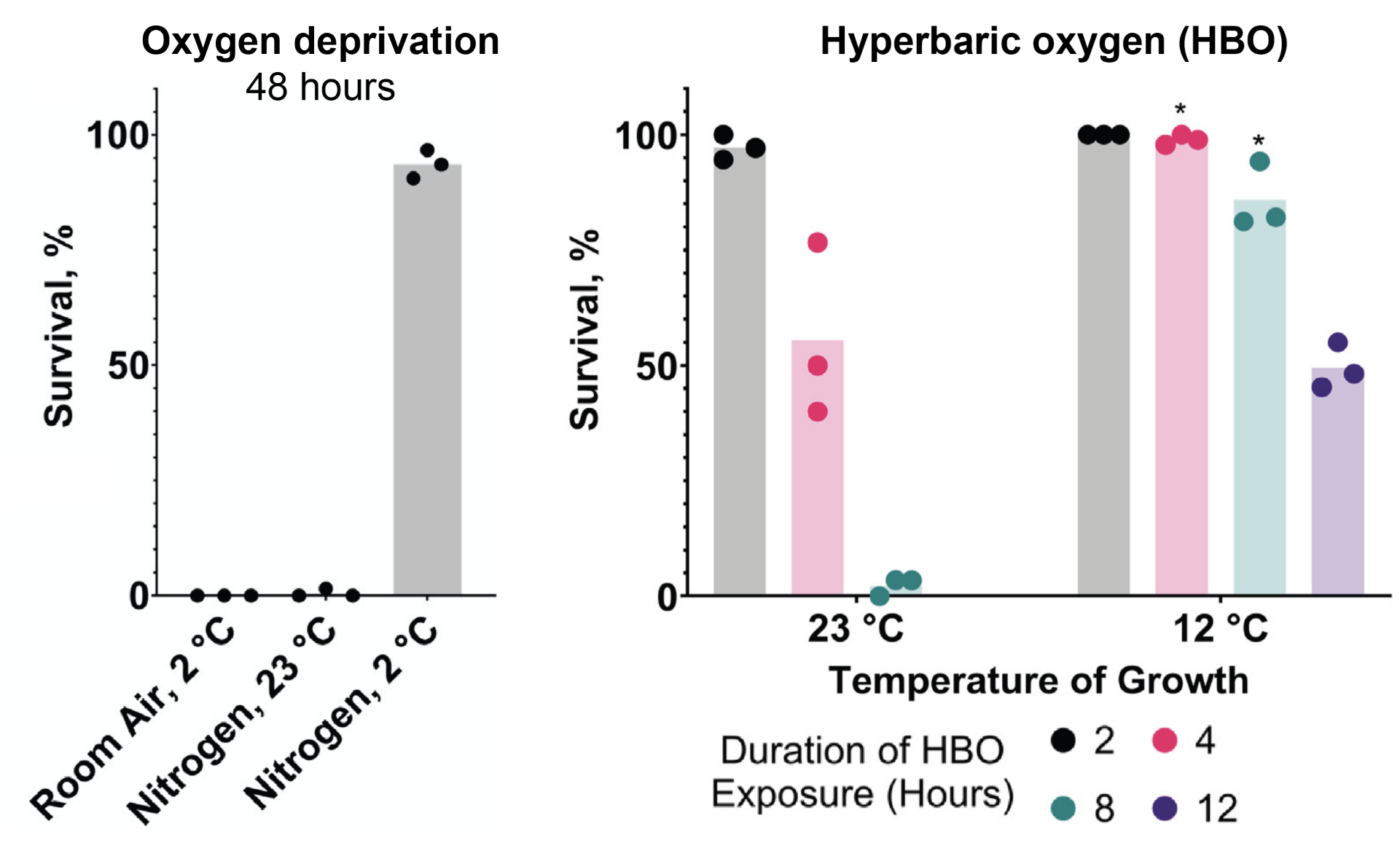 Oxygen toxicity in worms: a chilling tale - Fred Hutch