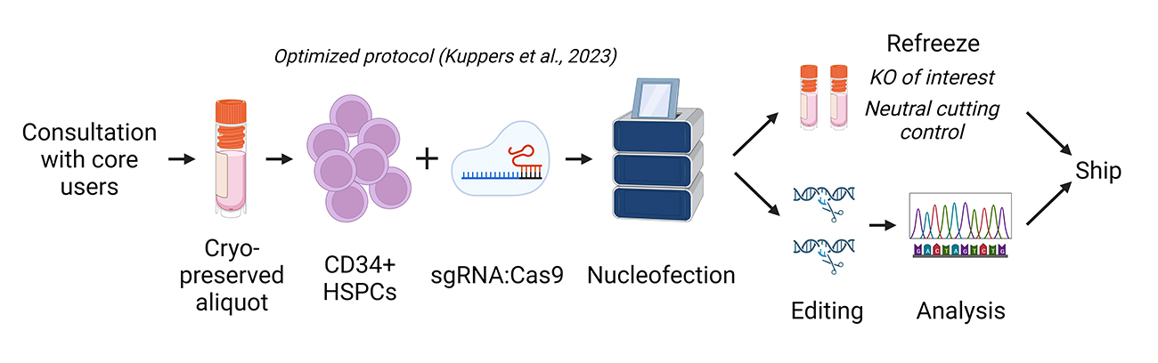 High-Efficiency Gene Editing - Fred Hutch
